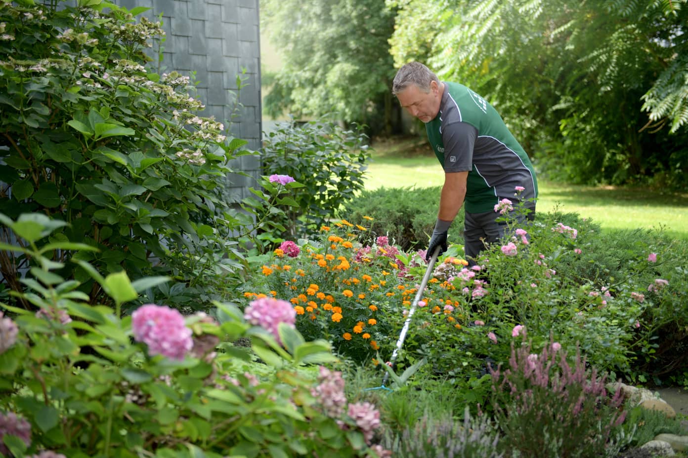 Gärtner arbeitet im Blumenbeet